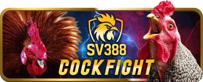 Giao dịch VIP nhanh chóng vn999 casino