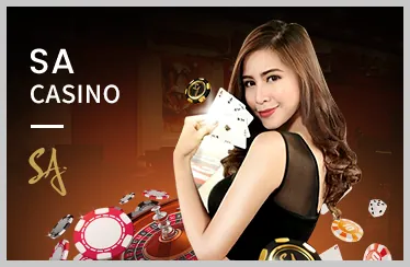 Cấp độ VIP Bạch Kim vn999 casino